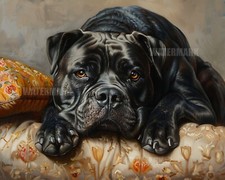 Stampa opaca 8x10_Cane Corso