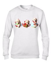 Natale Labrador Cuccioli IN T