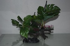 Per Acquario Realistico Verde