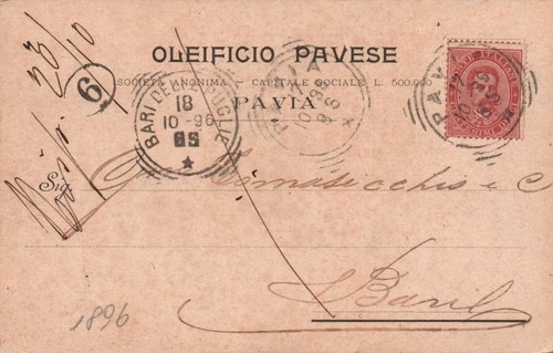 Pavia oleificio pavese - oleificio,