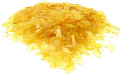 Crigema gommalacca decerata - crigema,