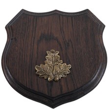 1Wappenschild Cinghiale Af 17cm Scudo Trofeo Forma Stemma Rovere Foglie