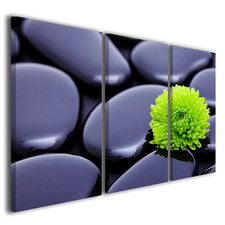 Green Flower Details Canvas