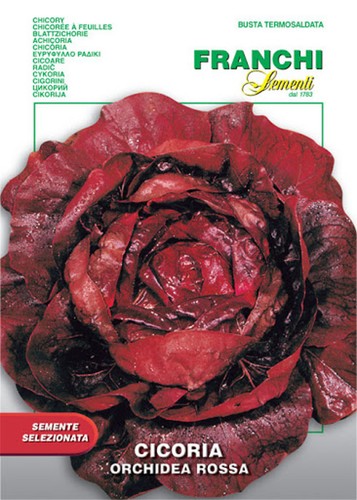 2000 semi seeds - /,