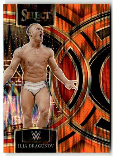 Panini select wwe - panini, 169