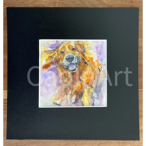 Quadro acquerello originale