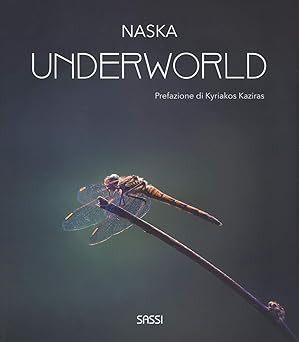 Underworld ediz a colori - underworld.,