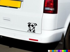 ADESIVI AUTO CANE PITBULL