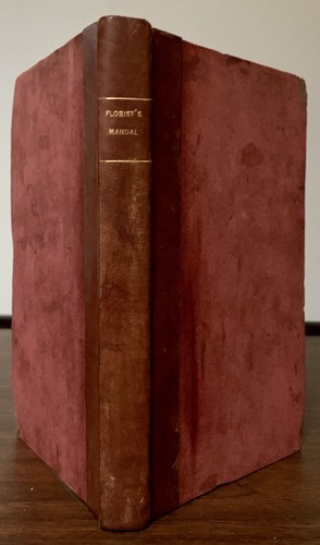 Maria elizabeth jackson - maria, /
