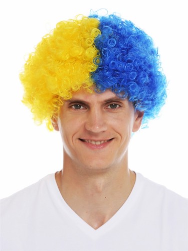 Parrucca carnevale afro - parrucca,