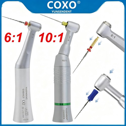 Coxo dental endo manipolo - coxo,