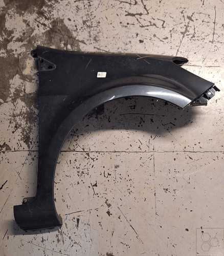 Parafango ant renault - dx.,