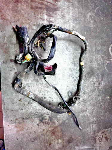 Impianto elettrico honda - impianto,