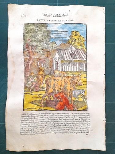 Mattioli matthioli erbario - erbario, a