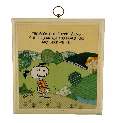 Targa snoopy peanuts secret - targa,