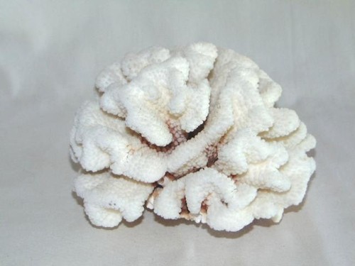 Vintage large natural white - large,
