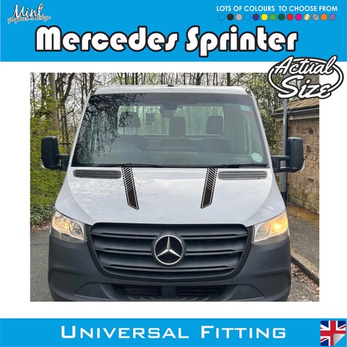 Strisce cofano mercedes - strisce,