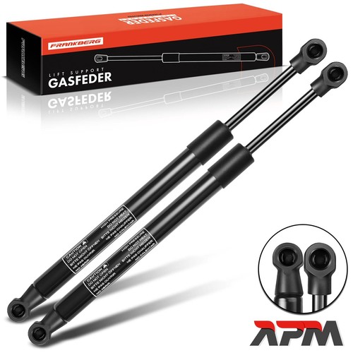 Gas ammortizzatore - 2x,