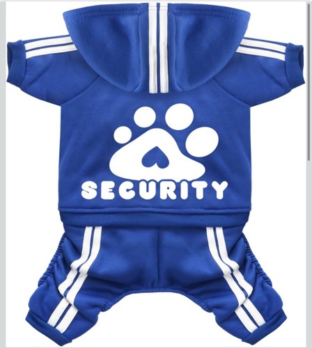 Vestiti per cani - cani, animali