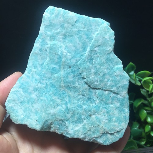 306g green amazon - 306g,