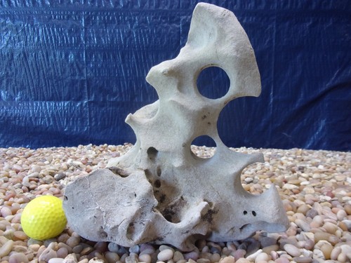 Texas holey rock - 06#,