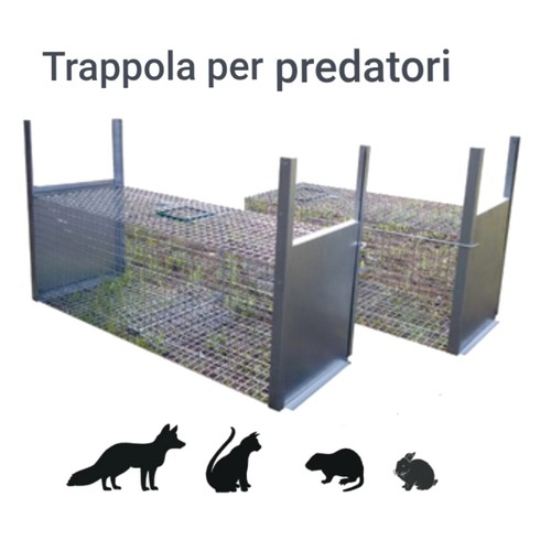Trappola animali cortile - trappola,