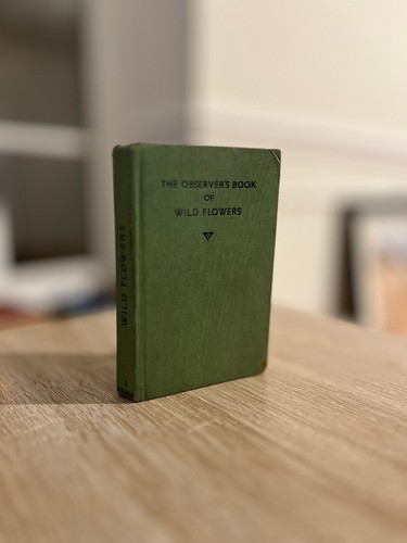 The observer book - book, wild