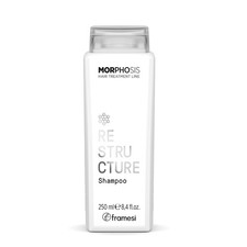 Framesi Morphosis Restructure