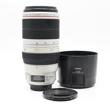 Canon EF 100-400 mm f4.5-5.6