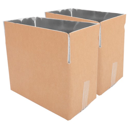 Pcs box termico contenitore - box,