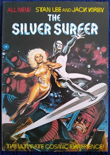 Silver surfer fireside - silver,