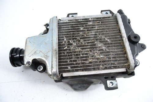 Radiatore acqua honda 150 - radiatore, sh