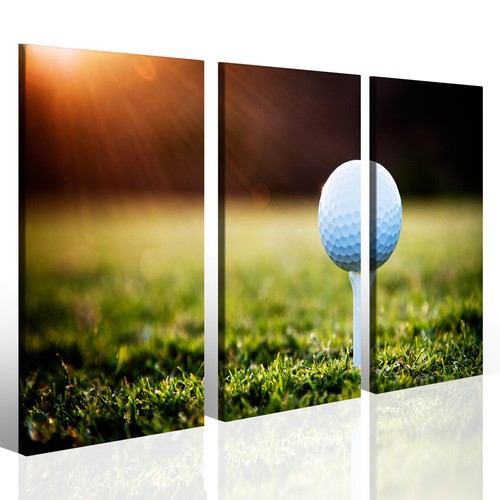 Quadro golf sport - golf,
