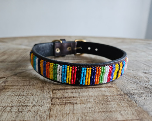 Collare per cani pelle con - pelle,