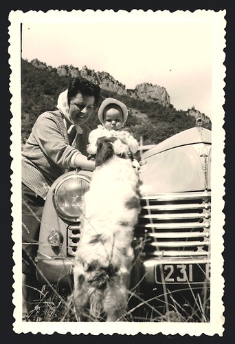 Fotografia auto peugeot 203 - peugeot,
