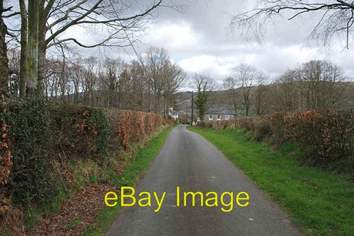 Photo 6x4 lane near pont - photo,