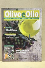 olivo e olio olive agricoltura