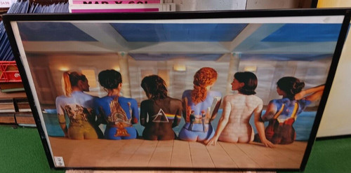 Pink floyd poster - poster, roger