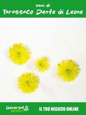 400 SEMI DI DENTE DI LEONE