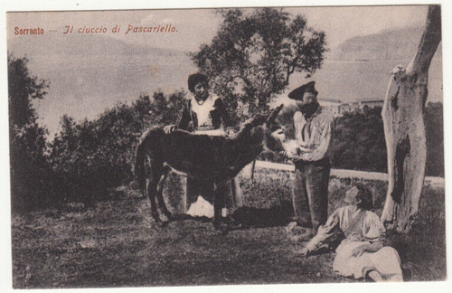 Fp01179 napoli sorrento il - -,