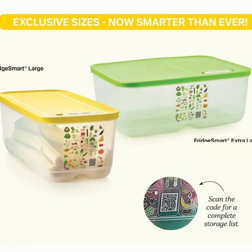 Tupperware contenitore smart - contenitore,
