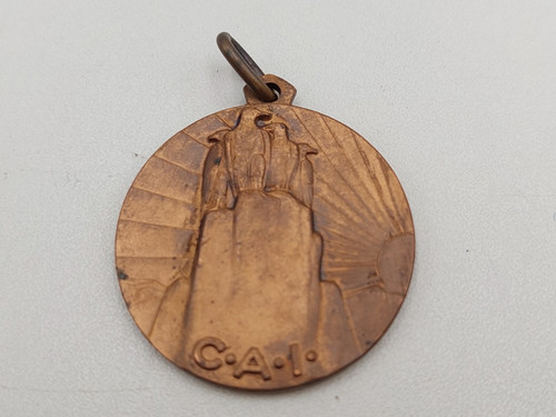 Medaglia commemorativa adunata