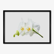 Arte da parete con cornice in