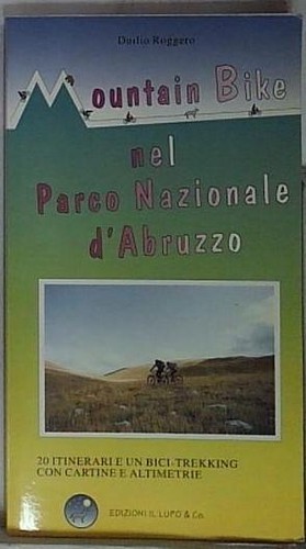Mountain bike nel - mountain,