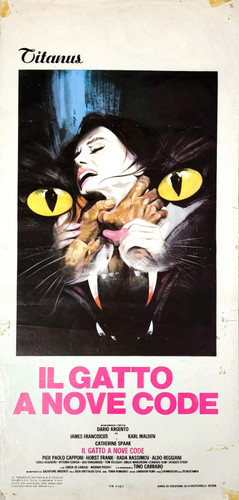 Gatto nove code dario - il,