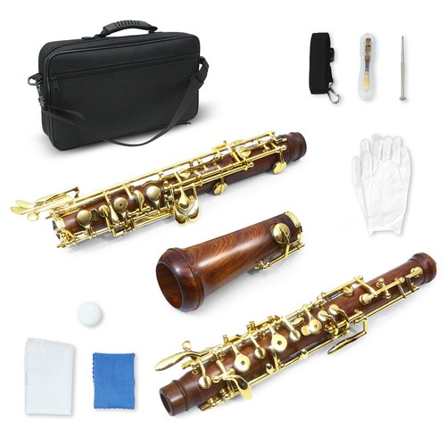 Strumento oboe principiante