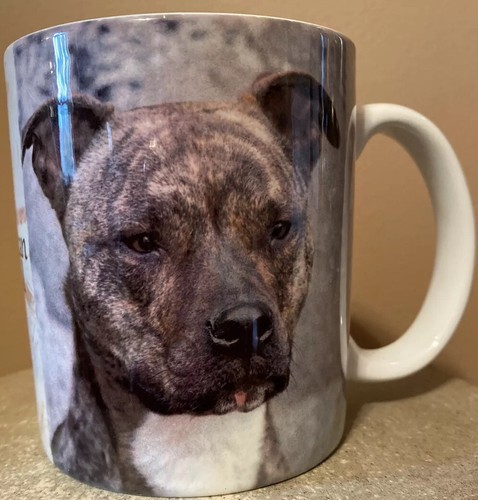 Tazza caffè pit bull oz - bull, 10