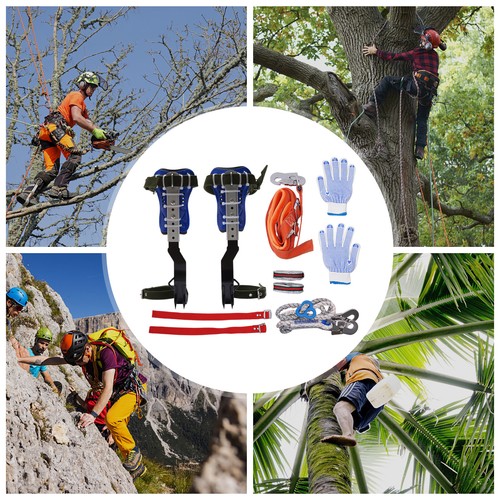 Set punte arrampicata - , albero