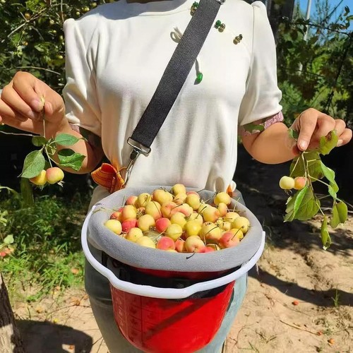 Sacchetto raccolta della - di,