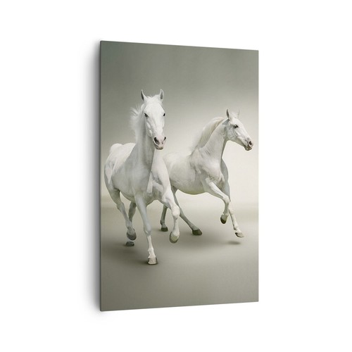 Quadro tela 80x120cm - tela,